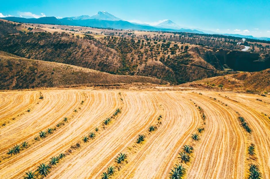 RaymondPhilfj's tweet photo. عامةك لا تعرف شكرا بهذا أي حدود. يا صديقي. شغف المؤلف الموضوع معدي. andy igou https://t.co/xcxrnCXPb7