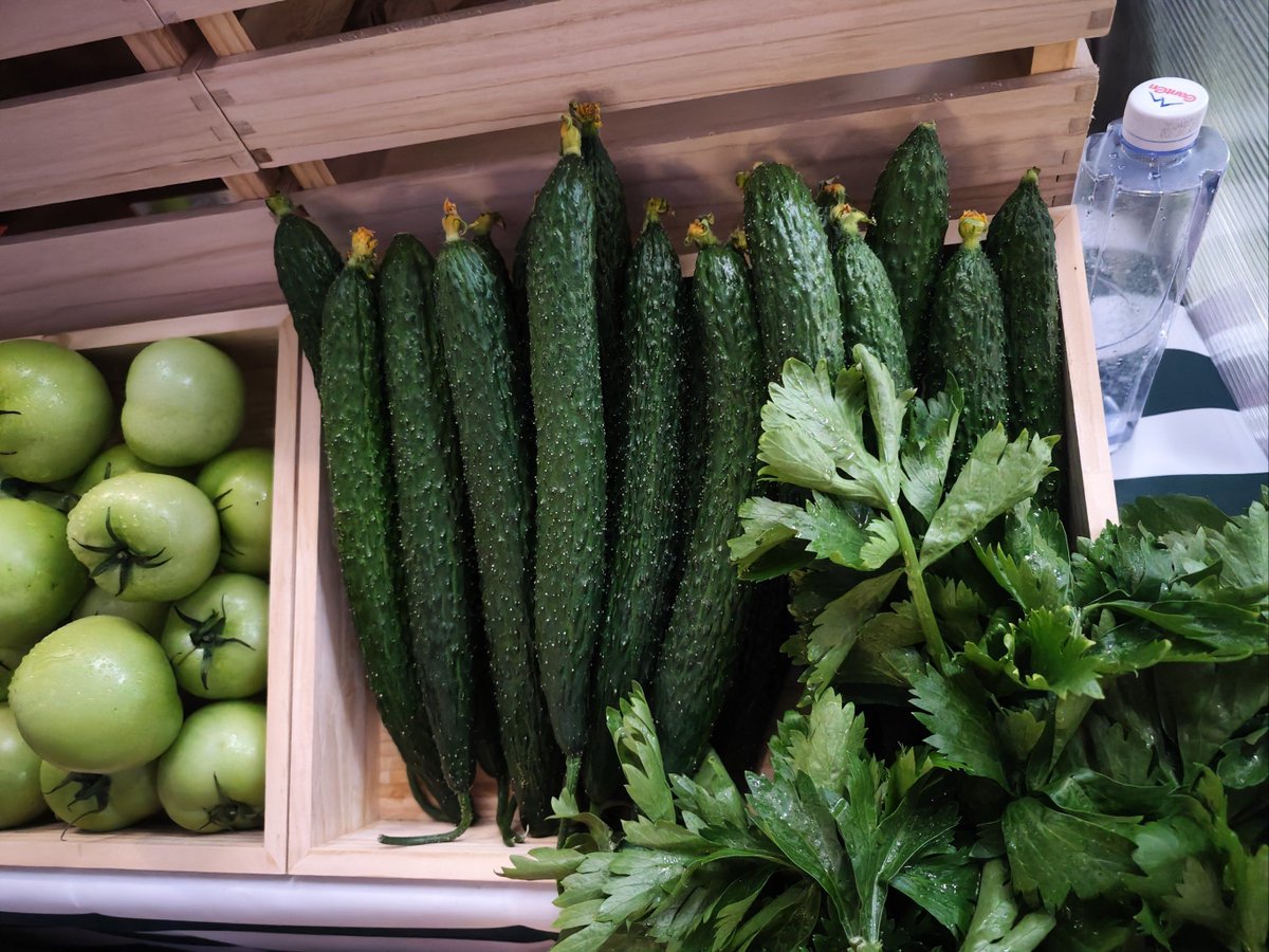 dreweri569992's tweet photo. Stocking up for the week! Fresh organic veggies, free-range eggs u0026 whole-grain finds  #KitchenEssentials #SmartGrocery， https://t.co/RjRc9kjpjC