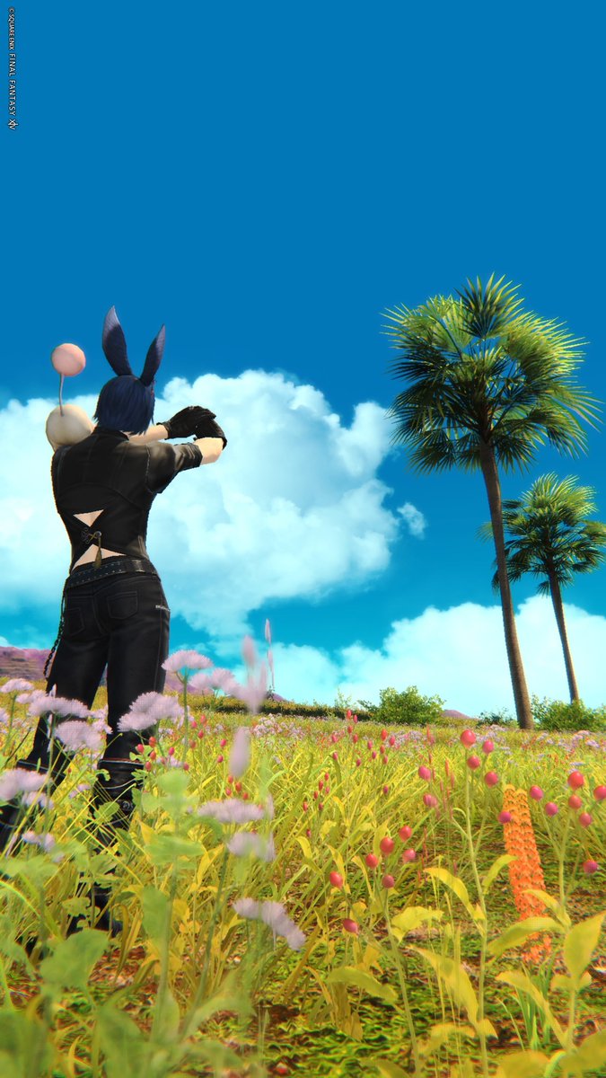 izumo922's tweet photo. サベネア島は快晴🏝️☀
ここの景色が好きです
#FF14風景 https://t.co/Cfr4ZBpD69