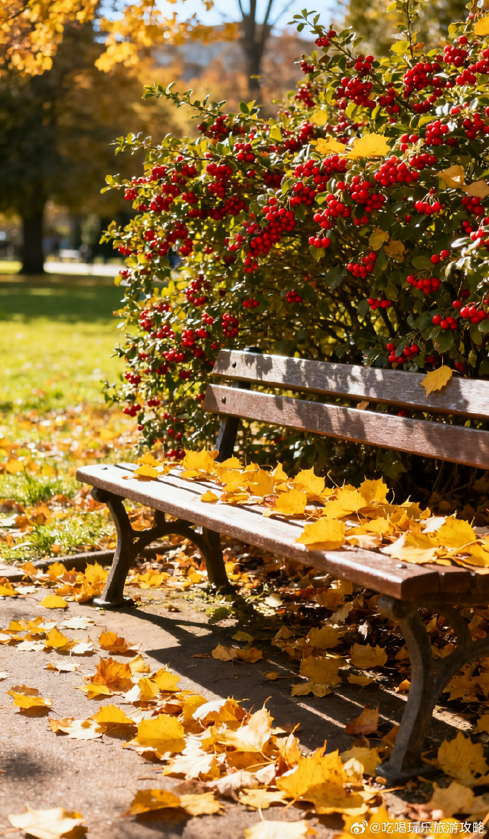 haiella152767's tweet photo. Sunny autumn breeze, crunching leaves, and that warm coffee in hand—perfect little weekend vibe https://t.co/60RPFSPmyy