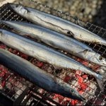 Photo by 山椒魚/Sanshowuo (@3showfish)