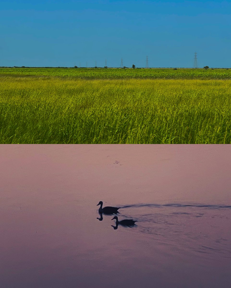 mansebanjaran's tweet photo. fragments of life https://t.co/55zoxNuJu7