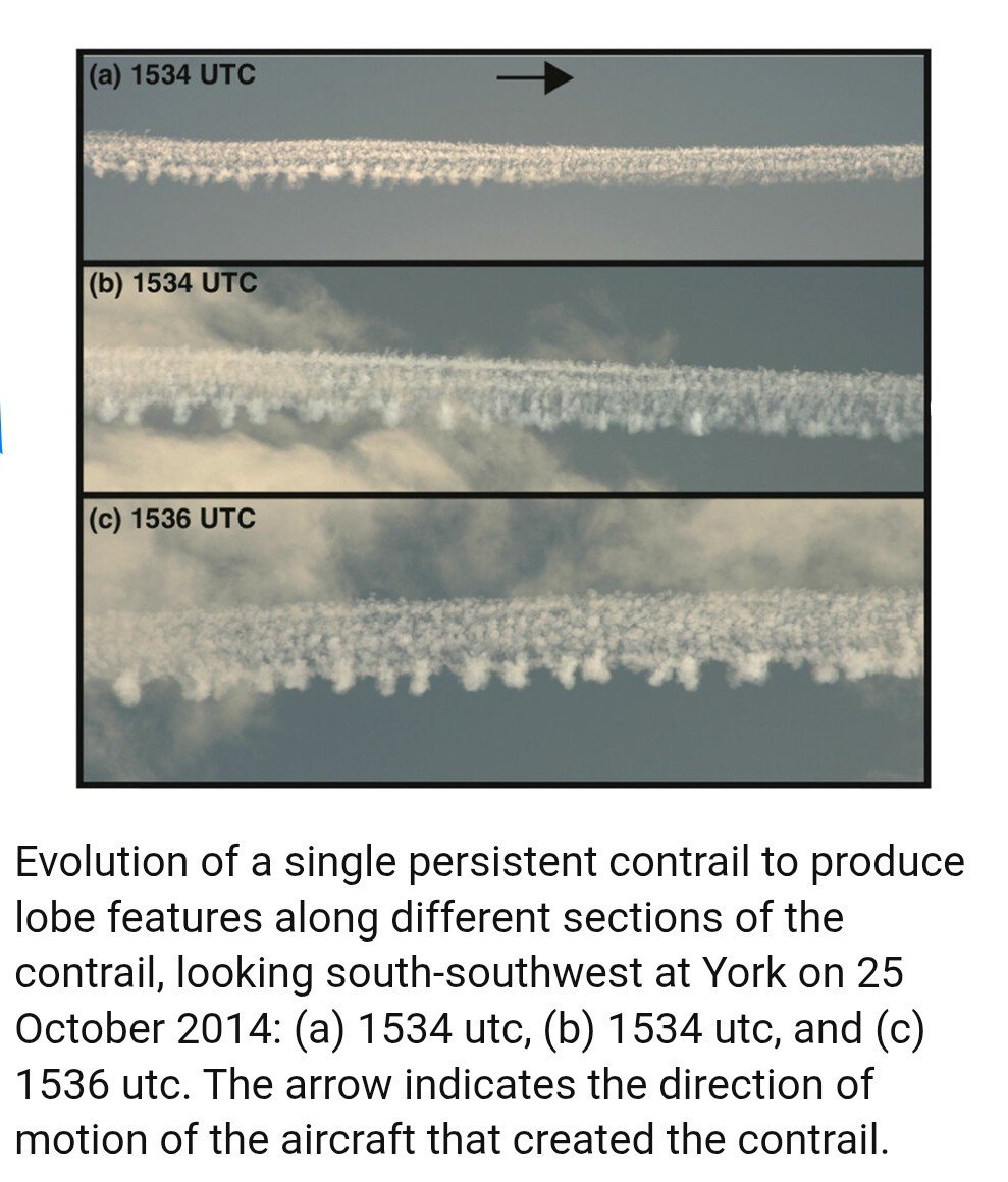 GrammarPolice7's tweet photo. @Evans16Stuart @ABridgen @Demo2020cracy What a great example (left) of contrail lobes. 

Well spotted! https://t.co/ObbFTgl0iW