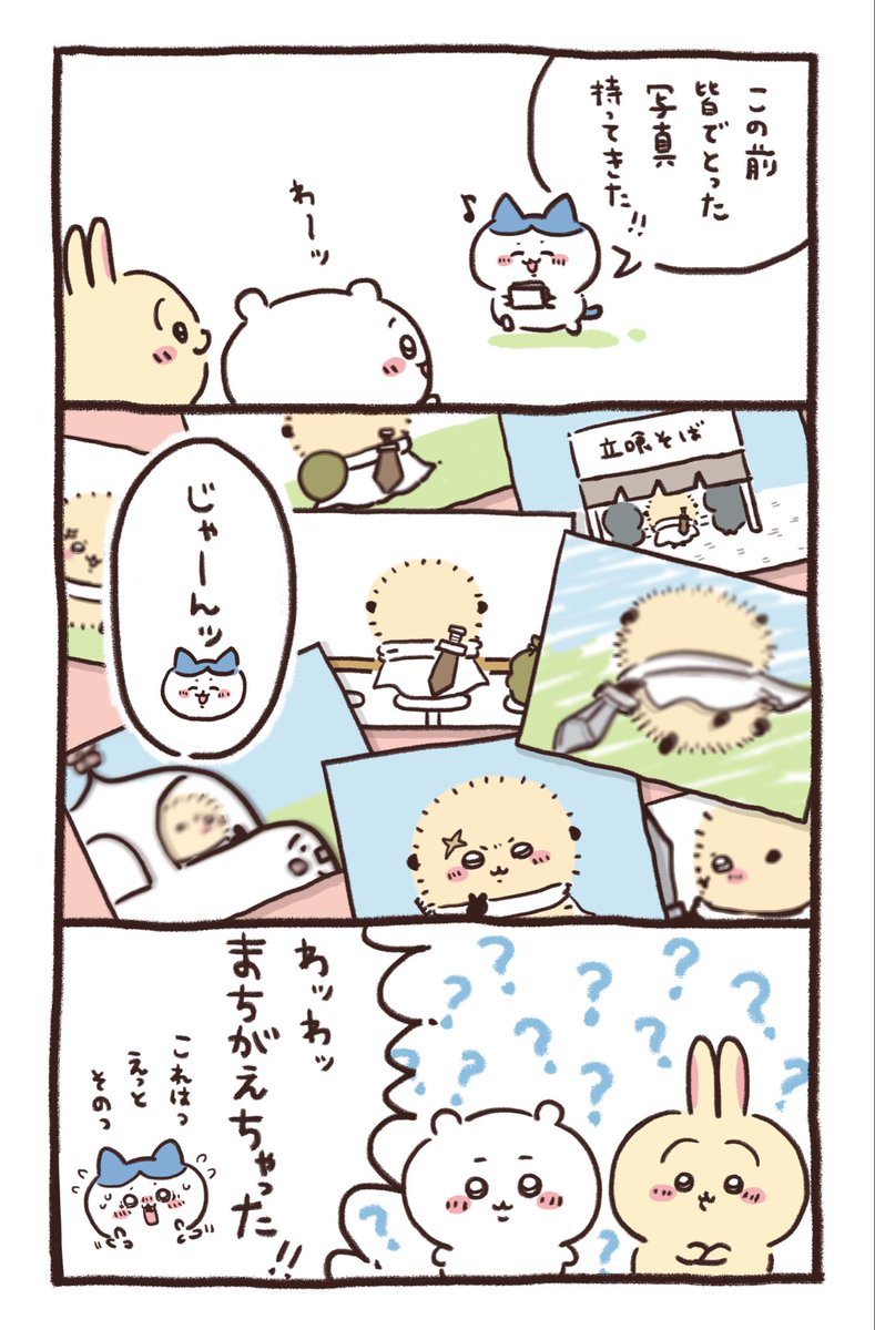 tutufurafura's tweet photo. ハチラコ？先生大好きすぎる🐱📸 https://t.co/hVxIGshkmT