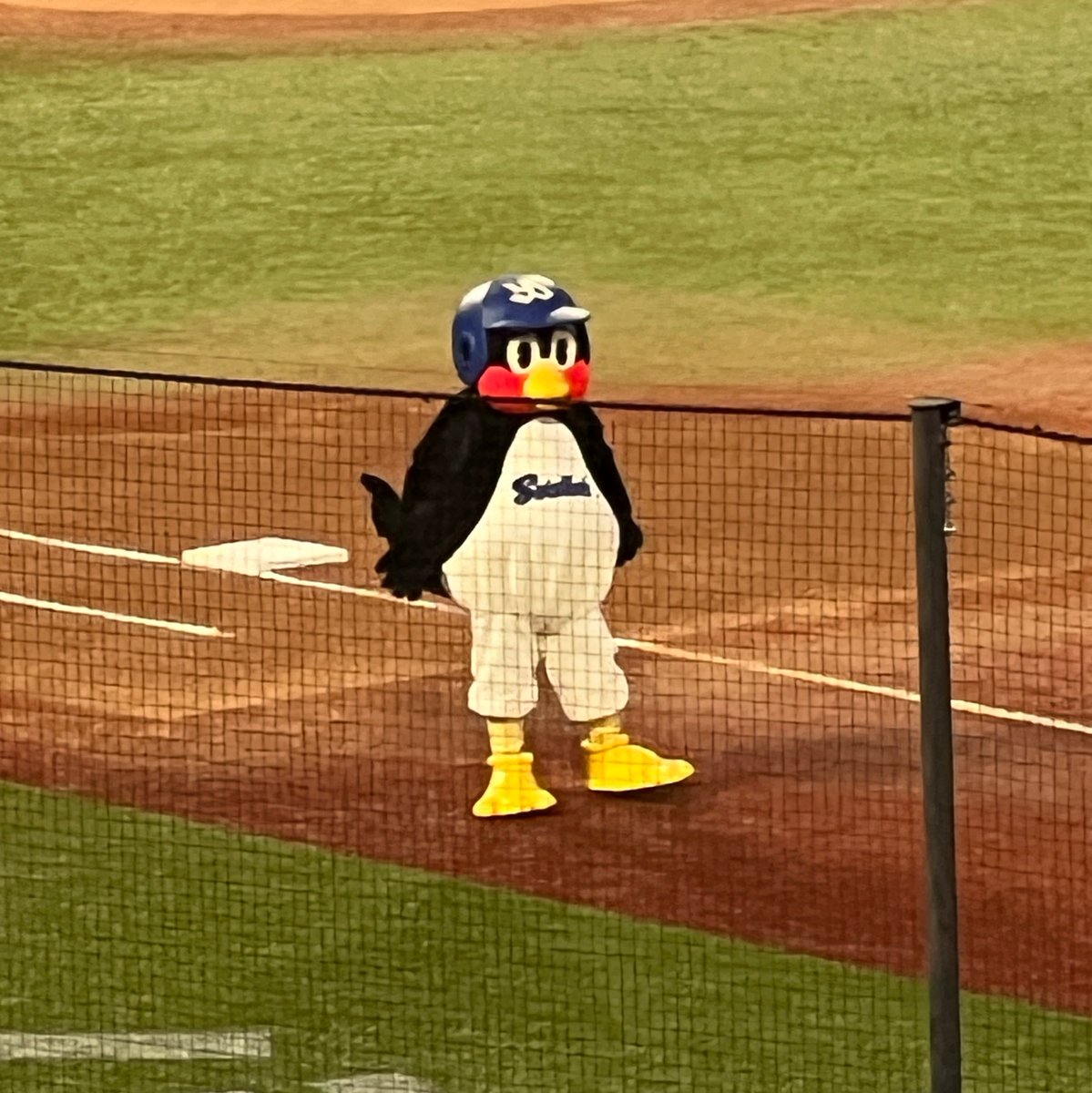 hrkmr69's tweet photo. 昨日初現地観戦dayでした⚾️︎ ̖́- https://t.co/xtY0zUVsNJ