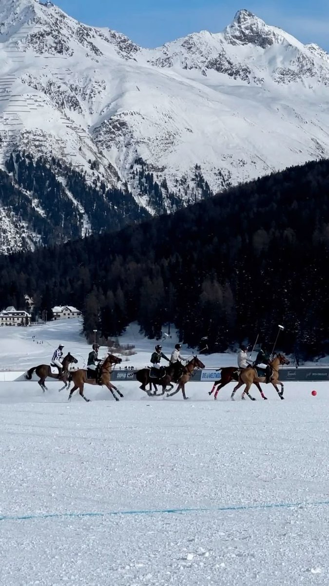onllycutestuff's tweet photo. St. Moritz, Switzerland https://t.co/HbT5g0HqYI