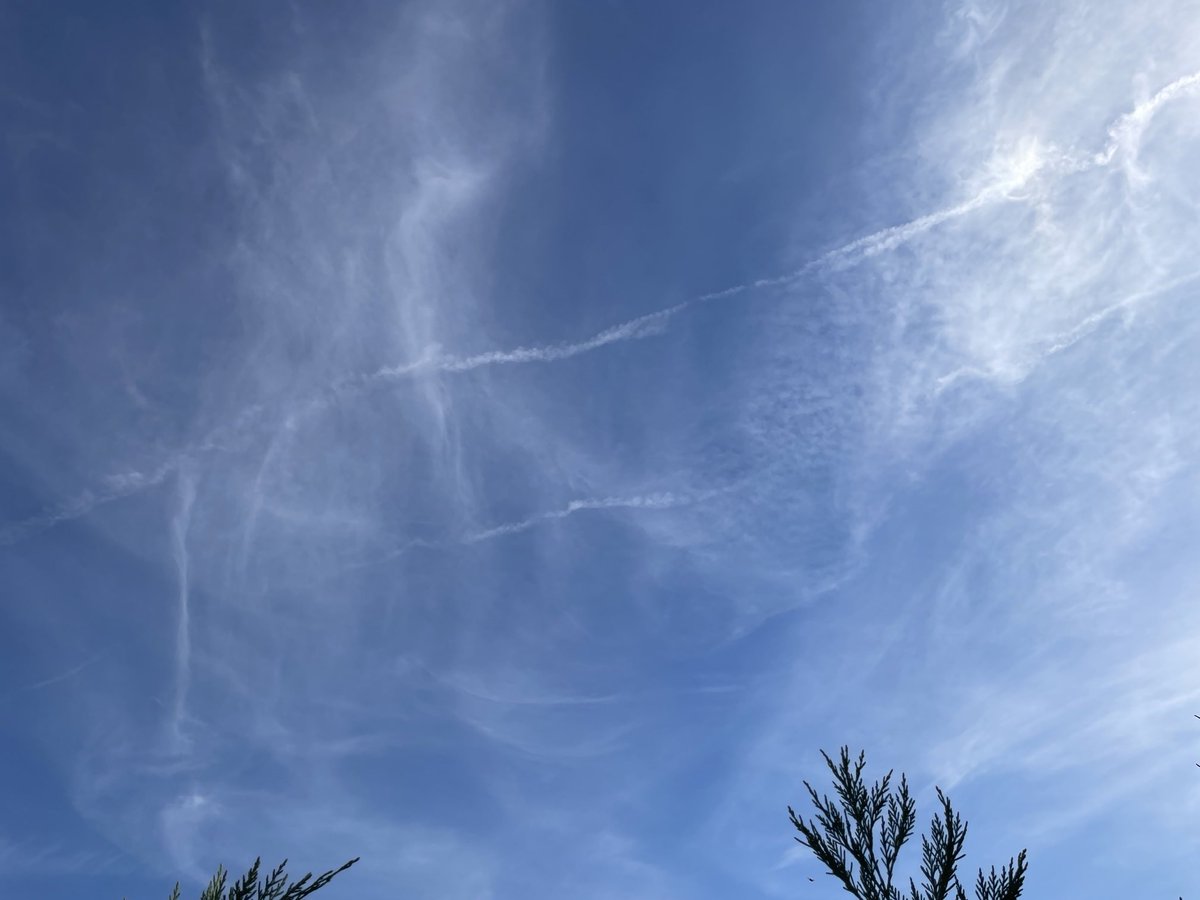 yolanda_profe's tweet photo. Sábado 26 de septiembre. Esto es la mierda de cielo que se ve desde mi casa en la sierra de Madrid. HDLGP. No vais a dejarnos en paz. Nunca más vamos a tener un cielo normal. Que asco y que rabia. Todos los días lo mismo. Que hartura señor. 🤮 https://t.co/K3iPAISj10