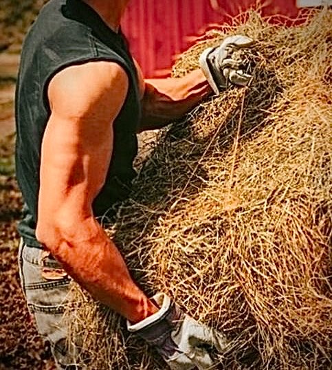 CMan0FTomorrow's tweet photo. Early start this morning, helping my old man round the farm 💪😁

Let’s see what today brings ☀️ https://t.co/iVSyuDy4Kk