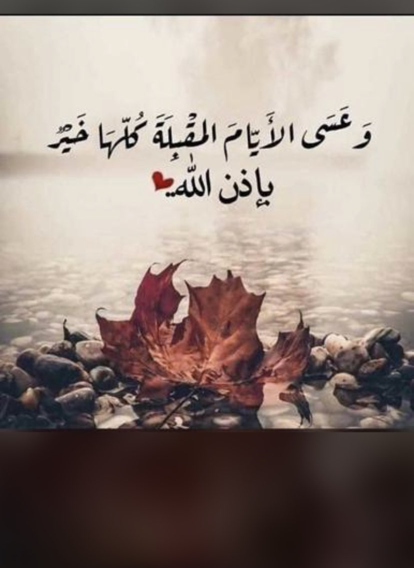 alshmalih14's tweet photo. https://t.co/u8XfWSKH8l