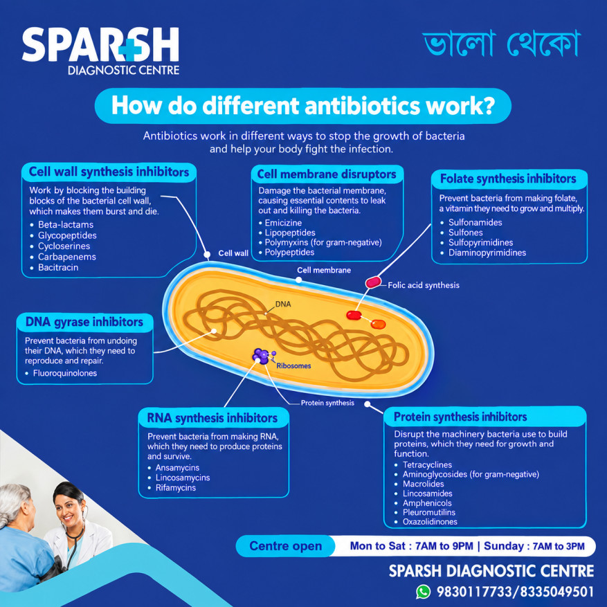info_sparsh's tweet photo. Antibiotics fight bacterial infections, not viral colds or flu! Misuse fuels antibiotic resistance, making simple infections harder to cure.

Always consult a doctor &amp; finish your full course. 

📖 Read more: https://t.co/9Rz64Corw8

📞 9830117733 / 8335049501

#BhaloTheko https://t.co/zVq5VCDHfB