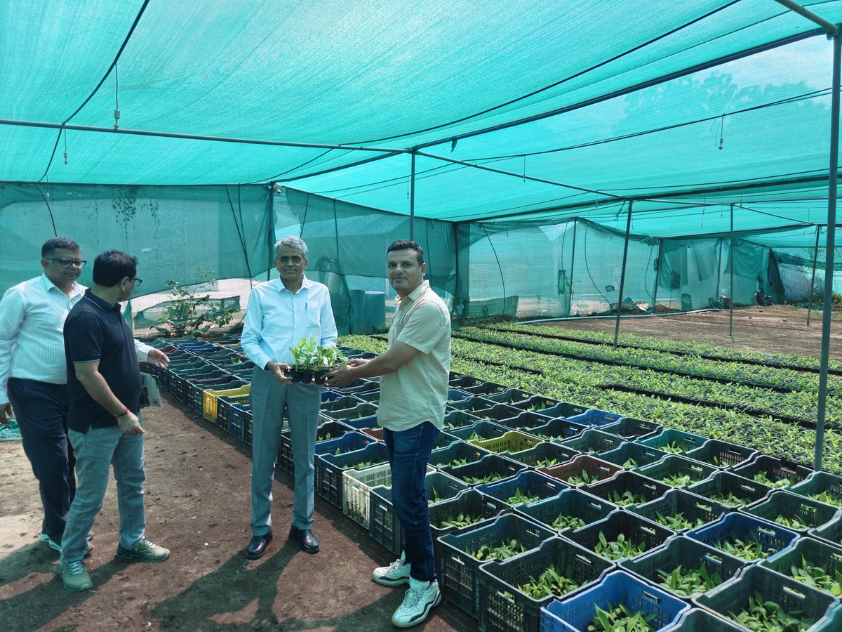 GujAgri's tweet photo. 🌱 આજે કૃષિ વિભાગના અગ્�� સચિવ શ્રી આર.સી. મીના તથા બાગાયત વિભાગના અધિકારીઓ દ્વારા #Greenfield Biotech, સેરથા ખાતે ટિશ્યુ કલ્ચર બનાના લેબની મુલાકાત લેવામાં આવી. આ દરમિયાન #ટિશ્યુ કલ્ચર પદ્ધતિથી તૈયાર થતા રોગમુક્ત, ગુણવત્તાયુક્ત અને એકસરખા રોપાઓની ઉત્પાદન પ્રક્રિયા તથા તેના ઉપયોગ અંગે માહિતી મેળવવામાં આવી.
ટિશ્યુ કલ્ચર ટેકનોલોજી આધુનિક બાગાયતી ખેતી માટે મહત્વપૂર્ણ ટેકનોલોજી છે. નિયંત્રિત લેબોરેટરી પરિસ્થિતિમાં તૈયાર ��તા પ્રમાણિત રોપાઓથી પાકની સારી સ્થાપના, સમાન વૃદ્ધિ અને ગુણવત્તાયુક્ત ઉત્પાદન મેળવવામાં મદદ મળે છે.
👨🌾 ખેડૂતો માટેના ��ુખ્ય લાભો:
✅ રોગમુક્ત અને પ્રમાણિત રોપાઓથી રોગનું જોખમ ઘટાડવામાં મદદ
✅ #એકસરખા રોપાઓથી સમાન વૃદ્ધિ અને લણણીનું સુવ્યવસ્થિત આયોજન
✅ ગુણવત્તાયુક્ત અને સમાન ઉત્પાદન મેળવવાની સંભાવના
✅ આધુનિક પદ્ધતિથી ઉત્પાદકતા વધારવાની તક
✅ ગુણવત્તાયુક્ત ઉત્પાદન દ્વારા બજારમાં વધુ સારી આવક મેળવવાની સંભાવના
ખાસ કરીને #કેળા (G-9) જેવા પાકોમાં પ્રમાણિત ટિશ્યુ કલ્ચર રોપાઓનો ઉપયોગ ખેડૂતોને આધુનિક, વૈજ્ઞ��નિક અને વધુ કાર્યક્ષમ ખેતી તરફ આગળ વધવામાં મદદરૂપ બની શકે છે.
🌾 આધુનિક ટેકનોલોજી અપનાવીએ, ઉત્પાદકતા અને ગુણવત્તા વધારીએ તથા ખેડૂત સમૃદ્ધિ તરફ આગળ વધીએ.
#TissueCulture #AgriTech #Horticulture #FarmersWelfare #KhedutKalyan #GujaratAgriculture