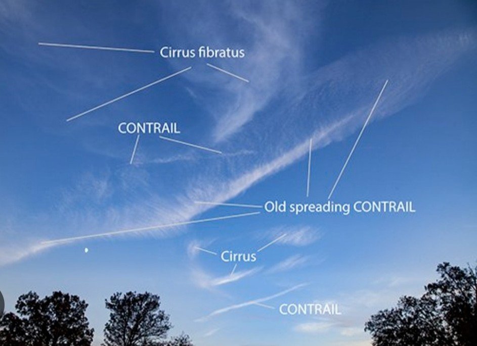 GrammarPolice7's tweet photo. @Evans16Stuart @ABridgen @Demo2020cracy Also (right) a sky of cirrus cloud.

What are your qualifications in atmospheric physics because clueless here. https://t.co/tEdW1VuenN