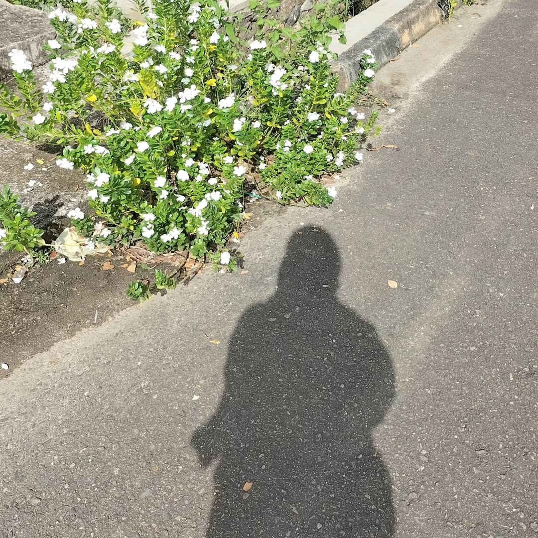 CharlesGeras's tweet photo. Sunny days with a denim blouse, a patterned hijab, and white flowers. https://t.co/aYI7IeON0W