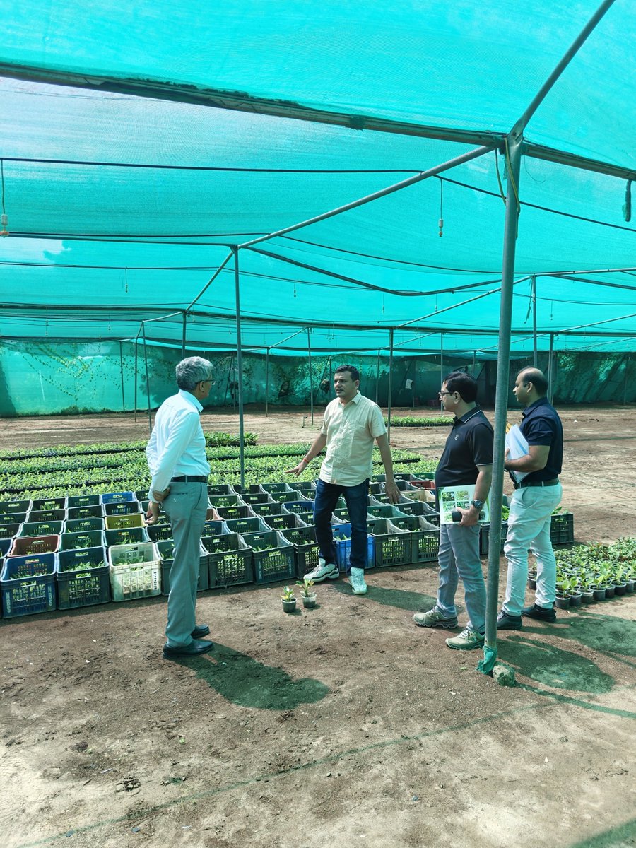 GujAgri's tweet photo. 🌱 આજે કૃષિ વિભાગના અગ્�� સચિવ શ્રી આર.સી. મીના તથા બાગાયત વિભાગના અધિકારીઓ દ્વારા #Greenfield Biotech, સેરથા ખાતે ટિશ્યુ કલ્ચર બનાના લેબની મુલાકાત લેવામાં આવી. આ દરમિયાન #ટિશ્યુ કલ્ચર પદ્ધતિથી તૈયાર થતા રોગમુક્ત, ગુણવત્તાયુક્ત અને એકસરખા રોપાઓની ઉત્પાદન પ્રક્રિયા તથા તેના ઉપયોગ અંગે માહિતી મેળવવામાં આવી.
ટિશ્યુ કલ્ચર ટેકનોલોજી આધુનિક બાગાયતી ખેતી માટે મહત્વપૂર્ણ ટેકનોલોજી છે. નિયંત્રિત લેબોરેટરી પરિસ્થિતિમાં તૈયાર ��તા પ્રમાણિત રોપાઓથી પાકની સારી સ્થાપના, સમાન વૃદ્ધિ અને ગુણવત્તાયુક્ત ઉત્પાદન મેળવવામાં મદદ મળે છે.
👨🌾 ખેડૂતો માટેના ��ુખ્ય લાભો:
✅ રોગમુક્ત અને પ્રમાણિત રોપાઓથી રોગનું જોખમ ઘટાડવામાં મદદ
✅ #એકસરખા રોપાઓથી સમાન વૃદ્ધિ અને લણણીનું સુવ્યવસ્થિત આયોજન
✅ ગુણવત્તાયુક્ત અને સમાન ઉત્પાદન મેળવવાની સંભાવના
✅ આધુનિક પદ્ધતિથી ઉત્પાદકતા વધારવાની તક
✅ ગુણવત્તાયુક્ત ઉત્પાદન દ્વારા બજારમાં વધુ સારી આવક મેળવવાની સંભાવના
ખાસ કરીને #કેળા (G-9) જેવા પાકોમાં પ્રમાણિત ટિશ્યુ કલ્ચર રોપાઓનો ઉપયોગ ખેડૂતોને આધુનિક, વૈજ્ઞ��નિક અને વધુ કાર્યક્ષમ ખેતી તરફ આગળ વધવામાં મદદરૂપ બની શકે છે.
🌾 આધુનિક ટેકનોલોજી અપનાવીએ, ઉત્પાદકતા અને ગુણવત્તા વધારીએ તથા ખેડૂત સમૃદ્ધિ તરફ આગળ વધીએ.
#TissueCulture #AgriTech #Horticulture #FarmersWelfare #KhedutKalyan #GujaratAgriculture