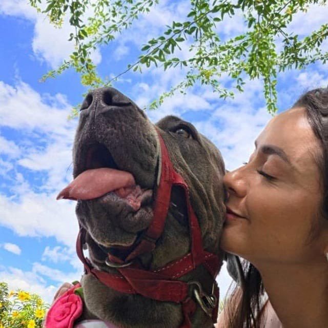Cannibalcu2vgg's tweet photo. Daily Reminder:

Life is better with dogs 🐾🦴

https://t.co/AGteVELzYV https://t.co/Xml2V50PLy