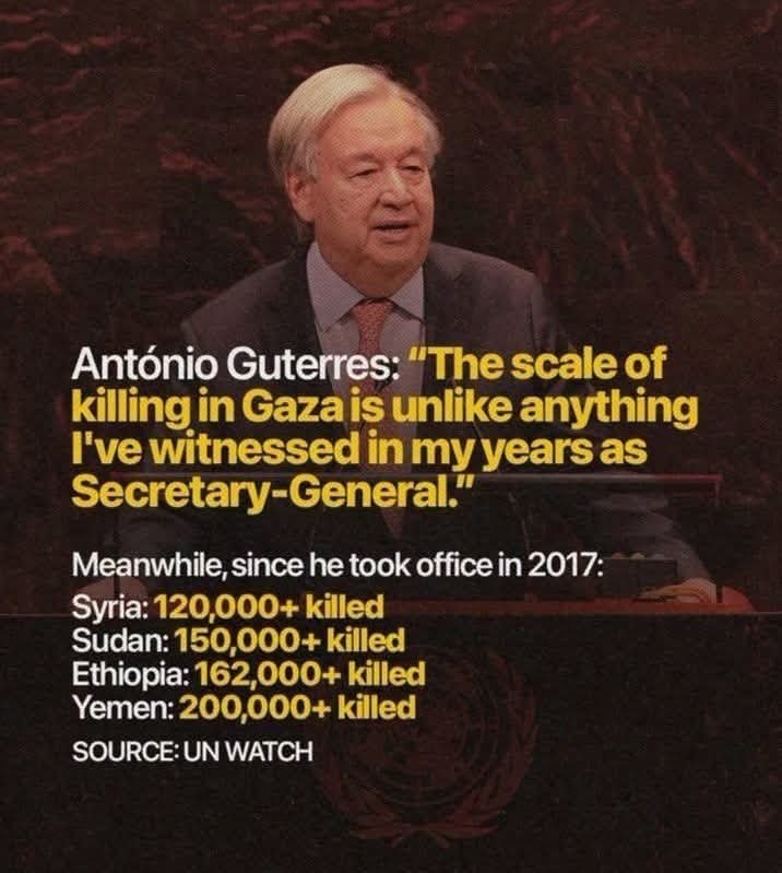panbello1's tweet photo. 🇺🇳 The UN is morally bankrupt.....🤮

You're fired, nitwit @antonioguterres !!🖕 https://t.co/TqI4YIe53P