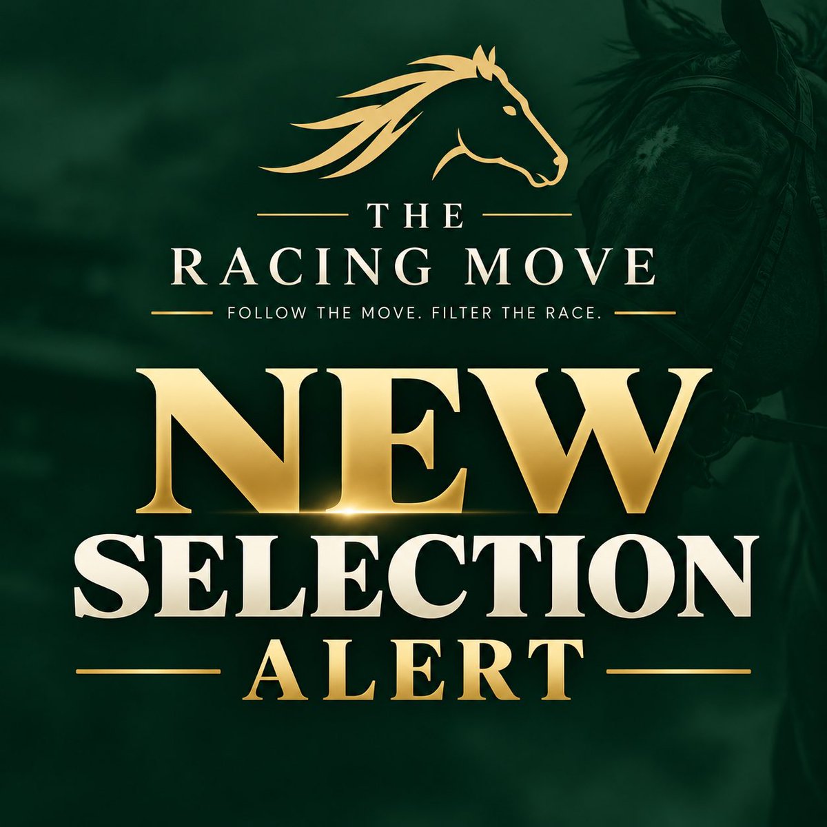 TheRacingMove tweet picture