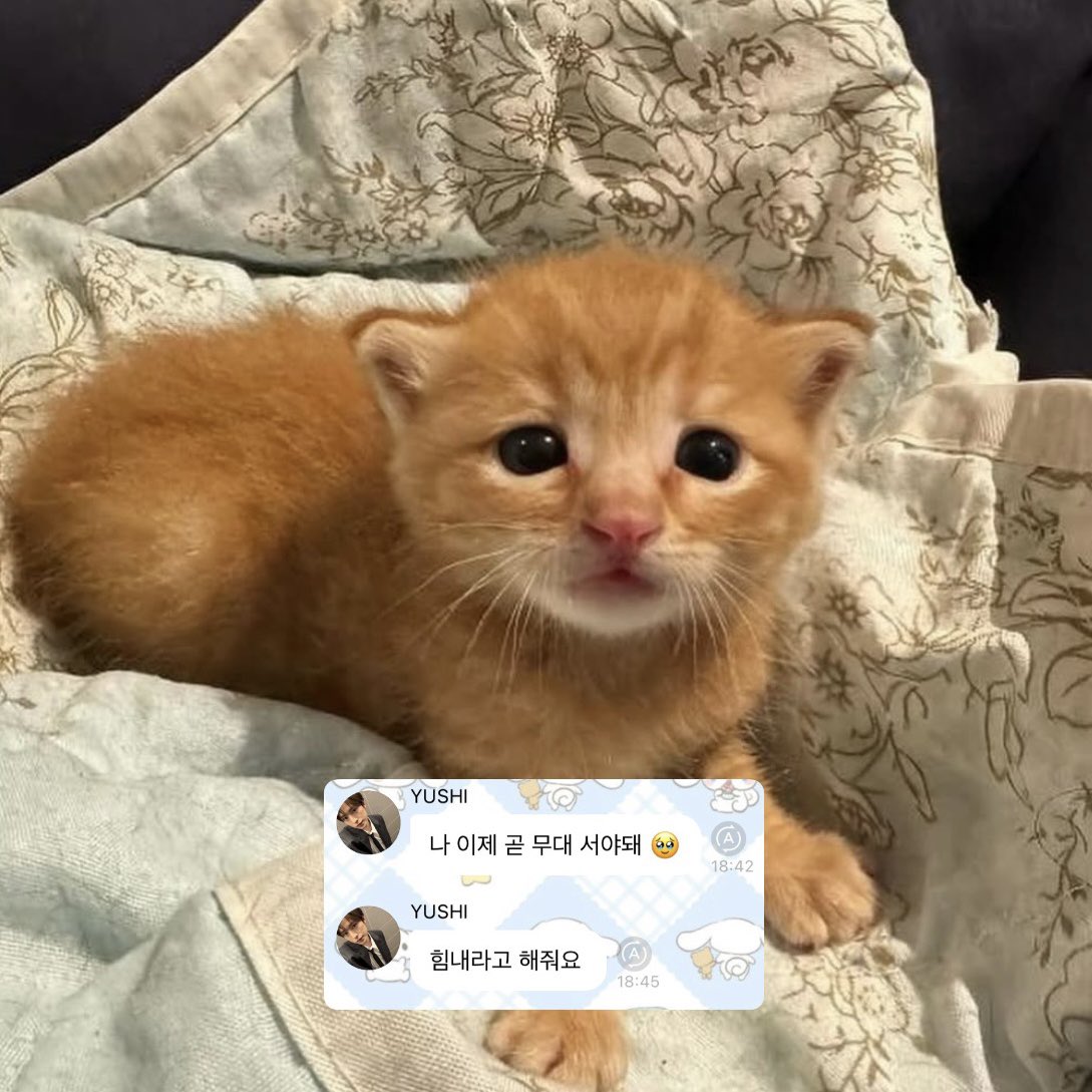 exiiiiit5's tweet photo. 힘내백만개 https://t.co/KV0QOC16Tr