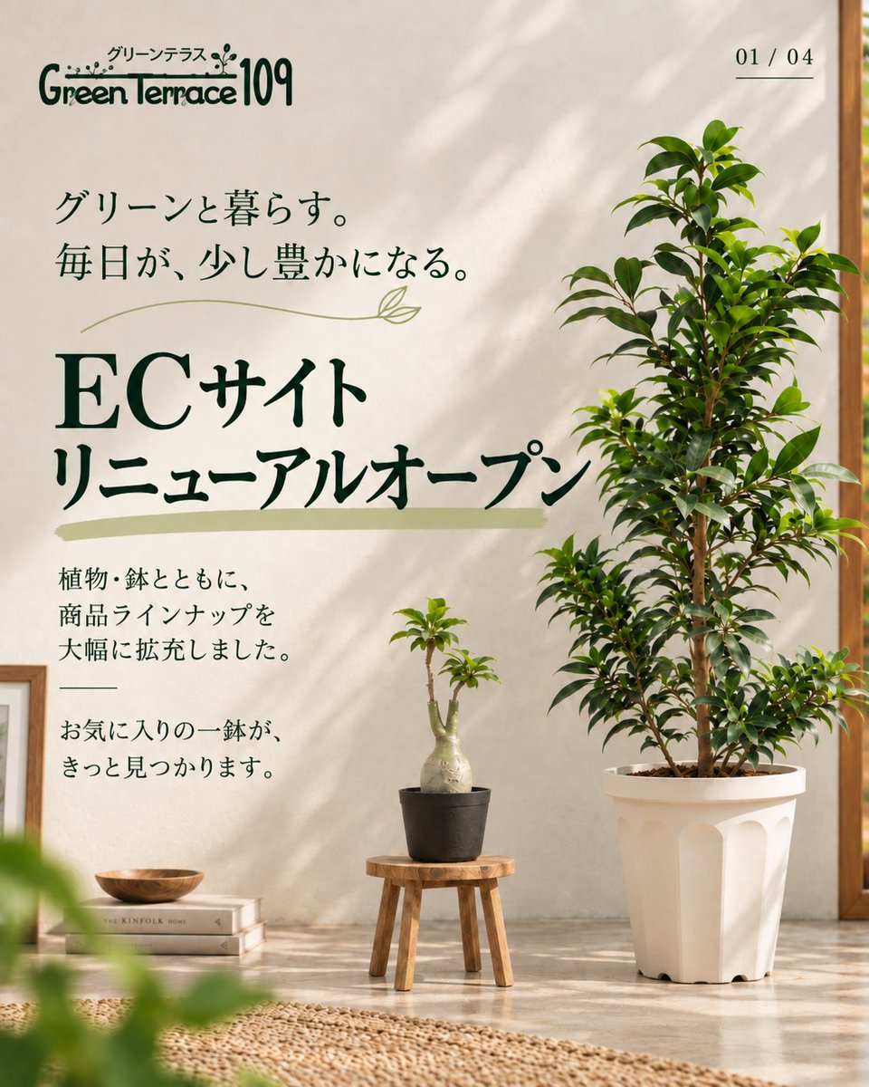 greenterrace109's tweet photo. ＼新規会員登録で10%OFF🎁／

オンラインショップに新規会員登録いただくと、10%OFFクーポンをプレゼント！
気になる商品のお買い物に、ぜひご利用ください🛒
▼会員登録・ご利用条件はこちら
https://t.co/BVItbvPO0i

#オンラインショップ
#クーポン
#観葉植物 https://t.co/Tl2ozdfxK7