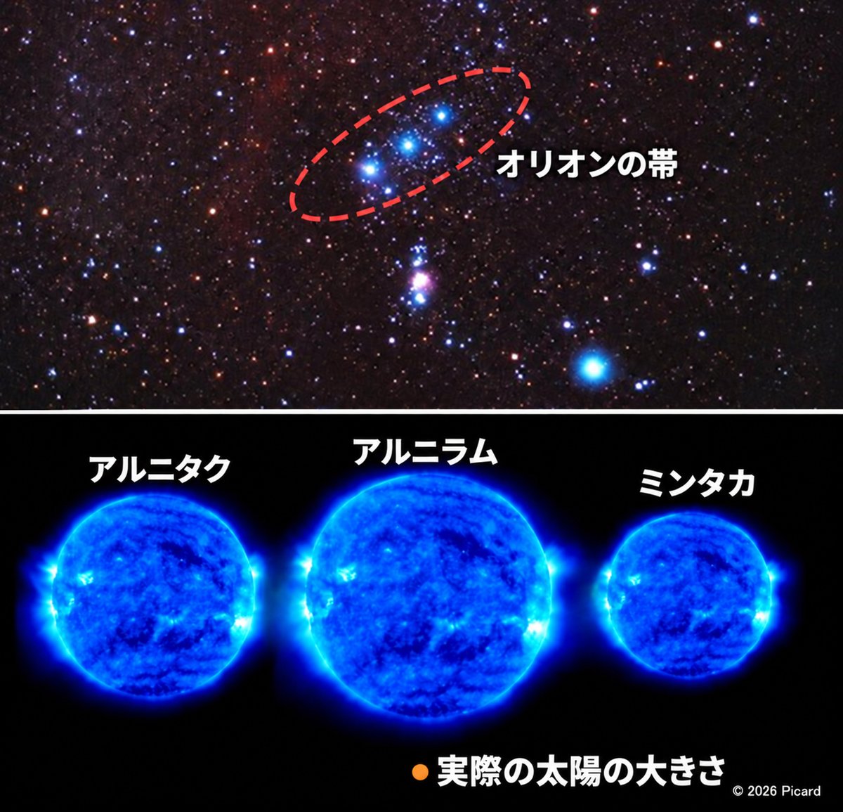 picard_224 tweet picture