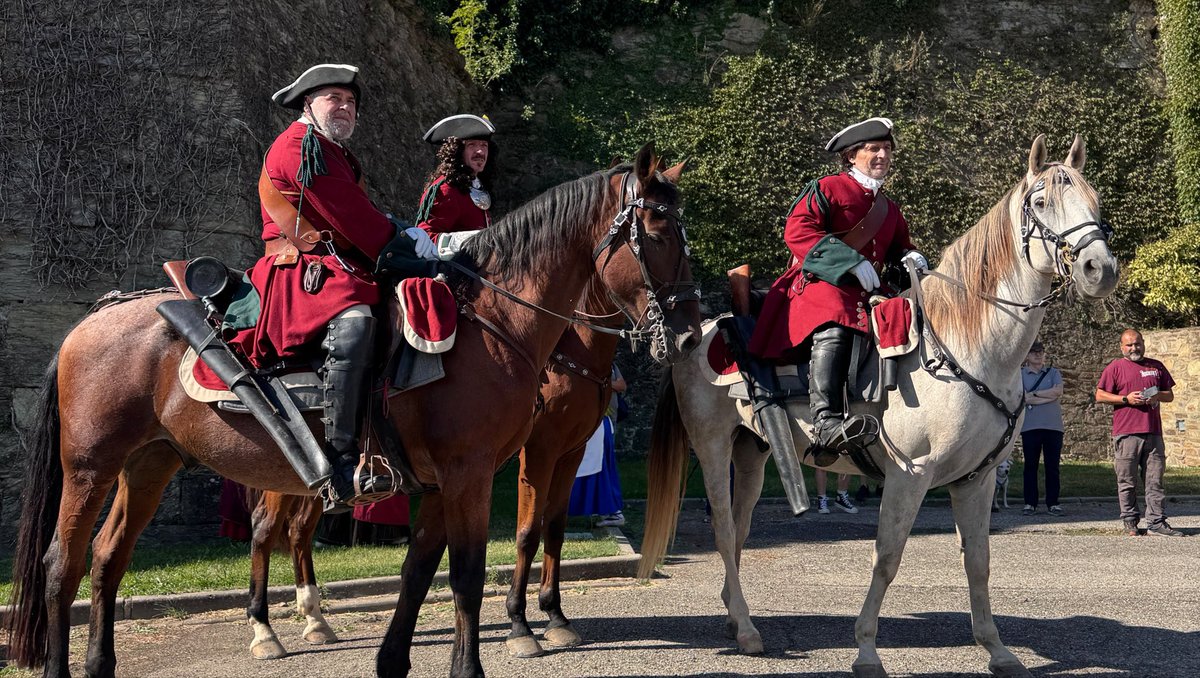 RadioSeu's tweet photo. #EnImatges Actes a #Castellciutat per commemorar la Capitulació de 1713. Al llarg del dia, s'han programat visites guiades, demostracions de balls històrics, exhibicions de combat i desfilades, entre altres. (Fotos: @EspaiErmengol) @ajlaseu https://t.co/TPiS0VQQdf