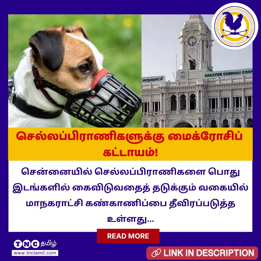 tnctamilnews's tweet photo. செல்லப்பிராணிகளை கைவிட்டால் இனி தப்ப முடியாது,சென்னையில் ரூ.10,000 அபராதம், மைக்ரோசிப் கட்டாயம்!

மேலும் படிக்க : https://t.co/fES5s751tq

#Chennai #PetCare #MicrochipMandatory #GCC #PetRules #TamilNaduNews #PetSafety #TNC #TheNewsCircle #TNCTamilNews https://t.co/ir7o7VBhbf