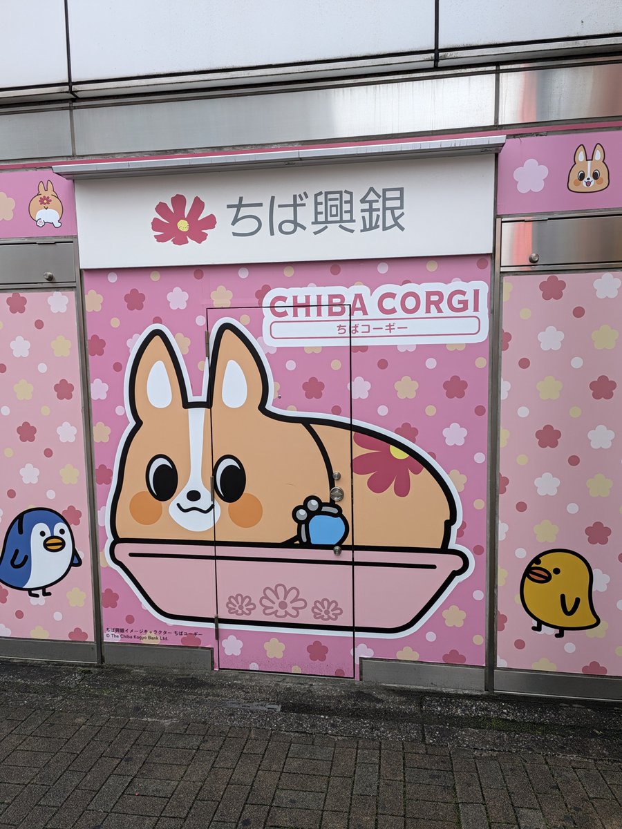 Debig_man's tweet photo. ちば興銀、だからちばコーギー…
シャレが効いている＆ゆるい→気に入りました（船橋駅南口にて）
#ちばコーギー https://t.co/pb5JvWzJCy
