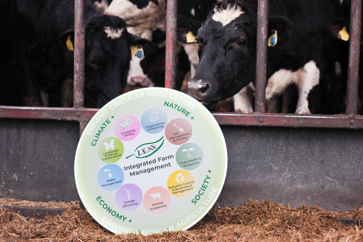 LEAF_Farming's tweet photo. #BritishFoodFortnight is here! 
Producing British food while building climate resilience is no easy task. Integrated Farm Management (IFM) helps farmers improve soil health, optimise inputs &amp; support wildlife, while protecting profitability.

Learn more: https://t.co/galZ58BH3O https://t.co/3rpK2LM9ym