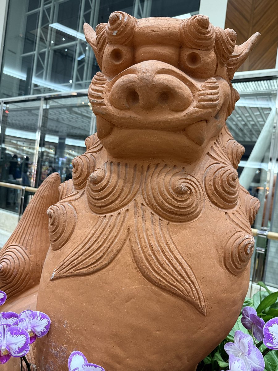 OTOKOGI_BANCHO's tweet photo. いやー沖縄最高だったー！！ https://t.co/IHmHqj6xv9