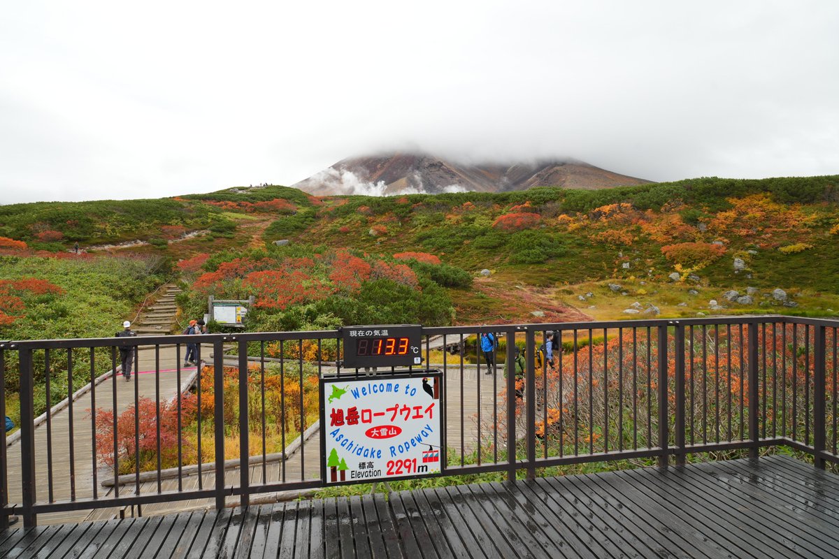 Lumina_h's tweet photo. シルバーウィークの北海道旅行は無事終了～。
日本＆北海道の最北端「宗谷岬」のついでにと、最西端「尾花岬」、最南端「白神岬」も踏破(`･ヮ･´)
紅葉の「旭岳」登山もできたし、札幌観光に登別温泉、「世界三大夜景」の函館の夜景、その他とにかくいろいろな場所を満喫できた！ https://t.co/yUkHasooRd