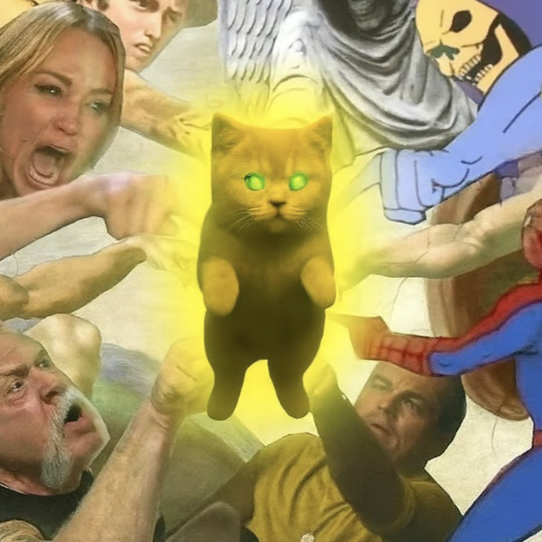 mcdevvin's tweet photo. 1 cat can literally change your life

https://t.co/Z025wMD2Gc https://t.co/8myT5rlkuy
