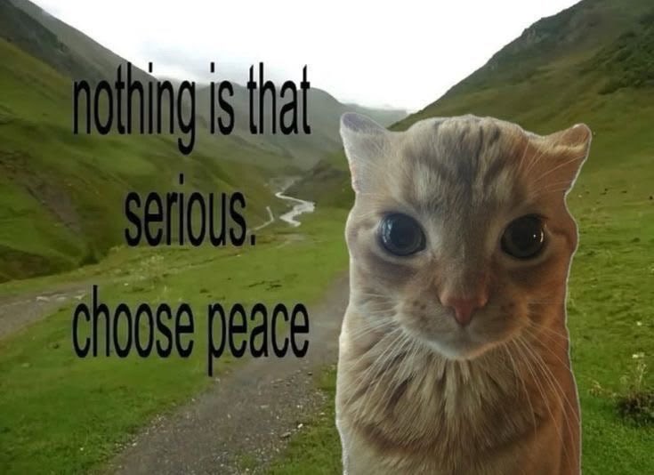 Suaveism tweet picture