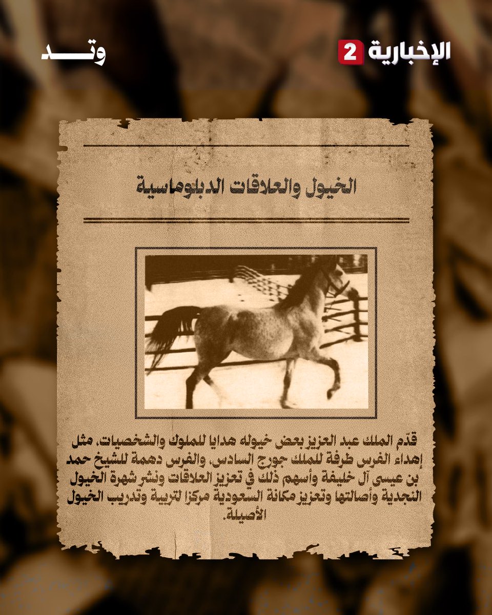 alekhbariya2's tweet photo. منيفة وعبيّة والصويتية.. خيول ارتبطت بحكاية وطن

#وتد
#الإخبارية2 https://t.co/HiNMqIzUQv