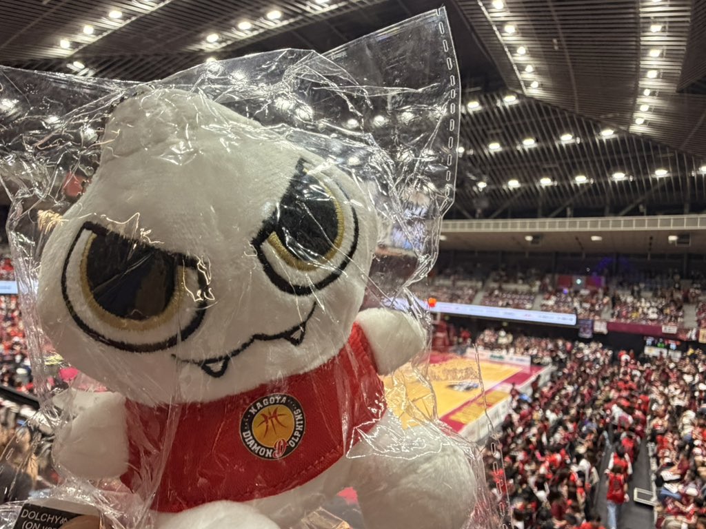 FragmentdLune's tweet photo. キミ、かわいいなぁ( ^ω^)💕
(もったいなくてまだ袋から出してないよ)
#DOLCHY
#名古屋ダイヤモンドドルフィンズ https://t.co/ERdec7V3KH