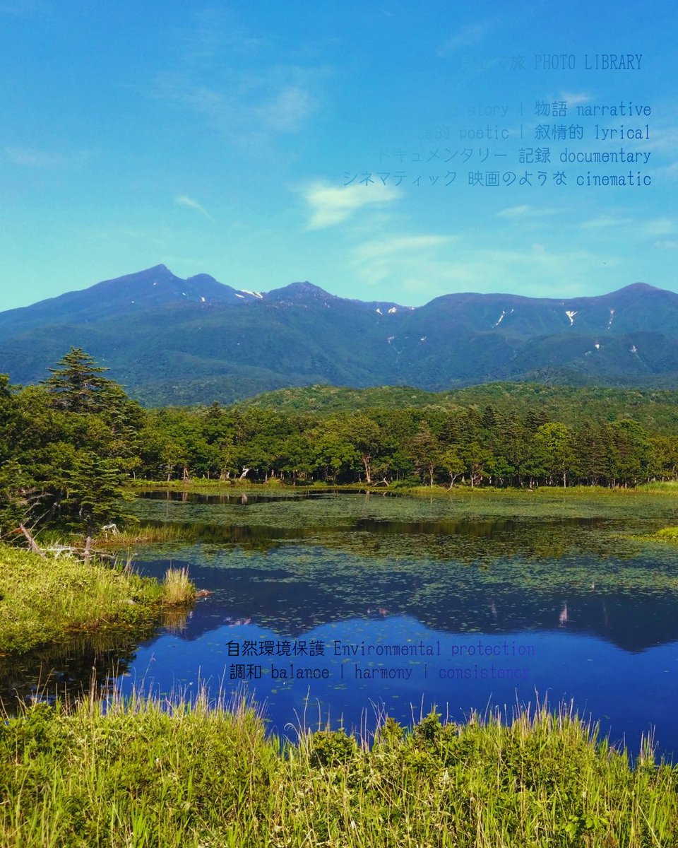 mitateasobi's tweet photo. 【見立て旅】北海道斜里郡 | 知床五湖高架木道  |  調和の木道を歩く

世界遺産 World Heritage Site
知床国立公園 Shiretoko National Park
知床五湖 Shiretoko Five Lakes
高架木道 Elevated Wooden Path

＋＋＋

序論introduction

#スライドショー #シネマティック #ドキュメンタリー https://t.co/JYRrW76nZ9