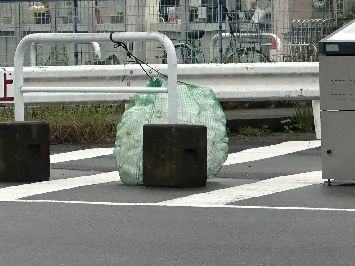 explosionpsycho's tweet photo. おにぎりだ https://t.co/ehjGDFhq77