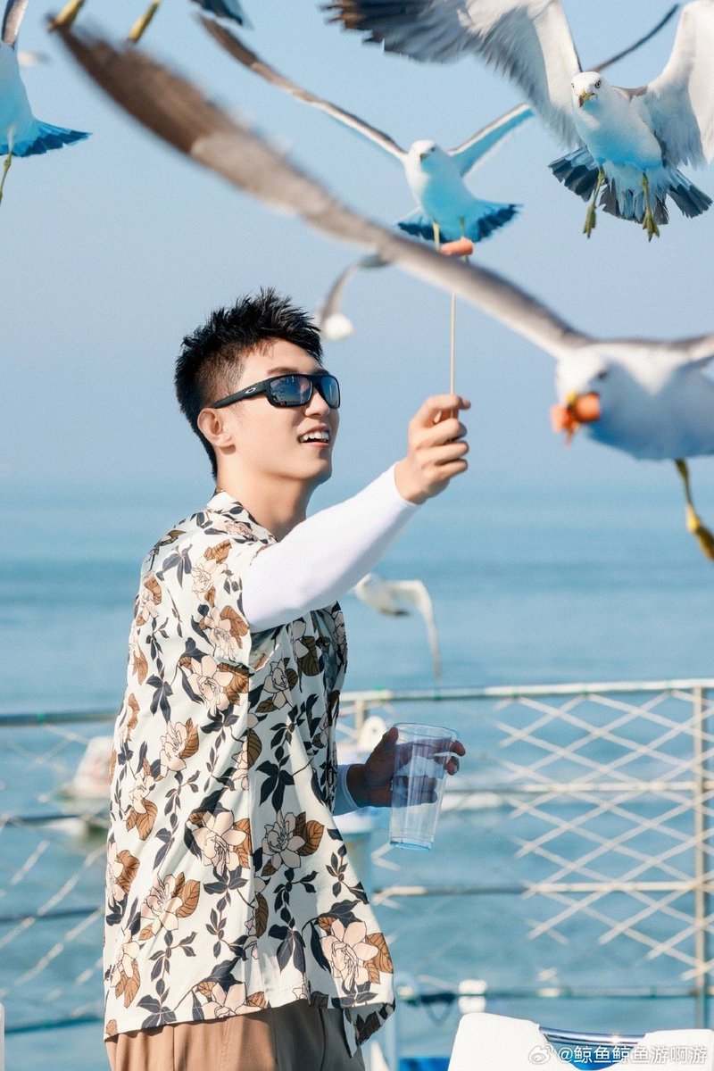 MAAMIR84727840's tweet photo. Look, the mute man from Gangnam’s Bukak-dong is on a flying seagull, greeting friends with a shy smile! https://t.co/YaDXLs8G0M