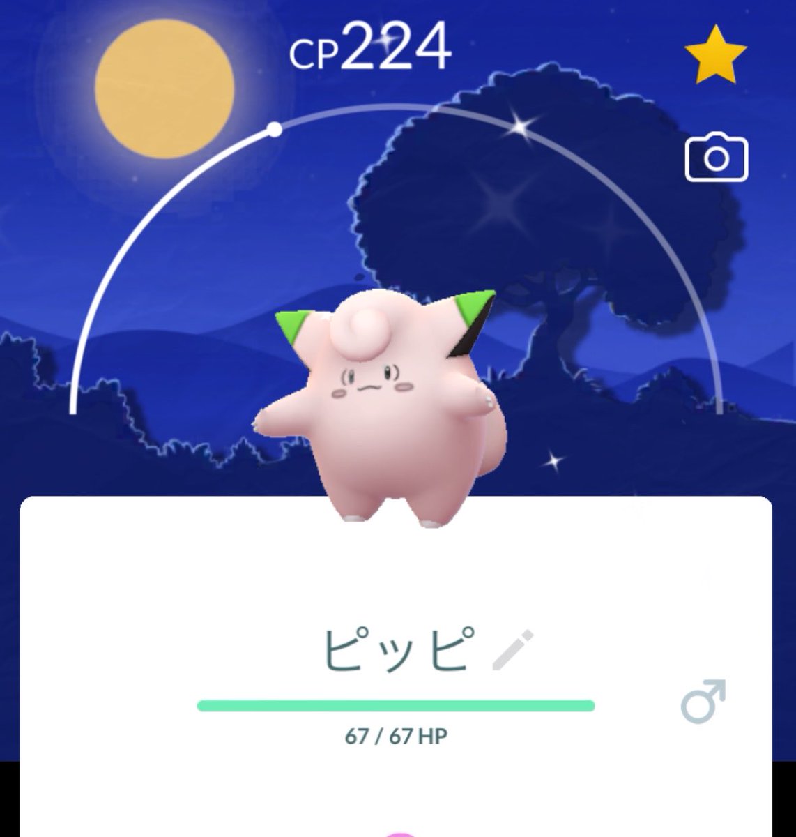 0kayu333's tweet photo. 近所を走り回って捕まえた🌙 https://t.co/uWyqd6Wmku