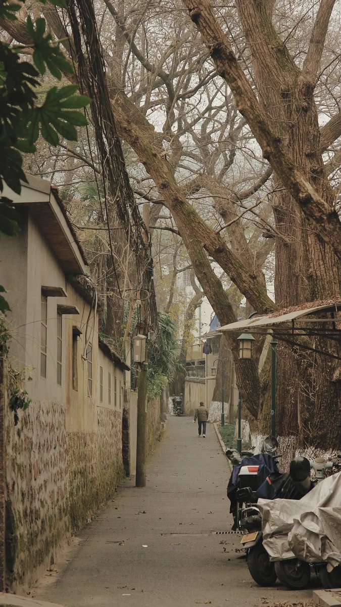 hongderek32797's tweet photo. City street vibes never miss on a lazy afternoon. Found this cozy corner hiding between the brick walls.， https://t.co/DStKsezNws
