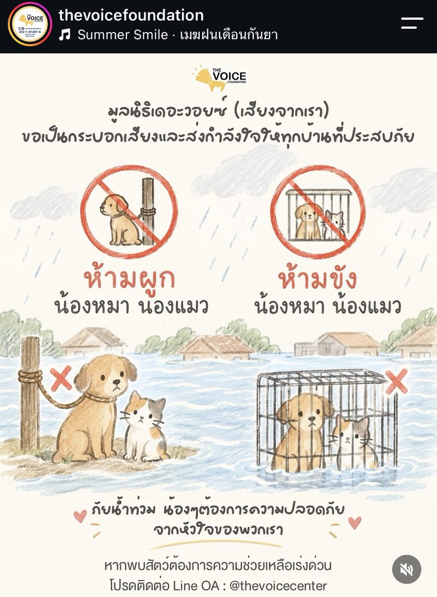 cooky_jkk07's tweet photo. @malimalineee ติดต่อไปที่ the voice ได้เลยค่ะเร่งด่วน https://t.co/hEGgwUvQk5