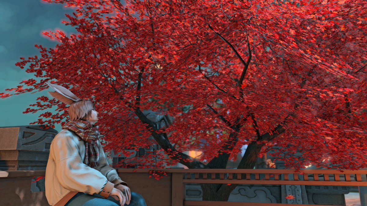 SoldoFF14's tweet photo. 今夜も楽しもうヾ(o´∀｀o)ﾉ
涼しくなってきたね～
＃FF14 https://t.co/NvcLWga1zk