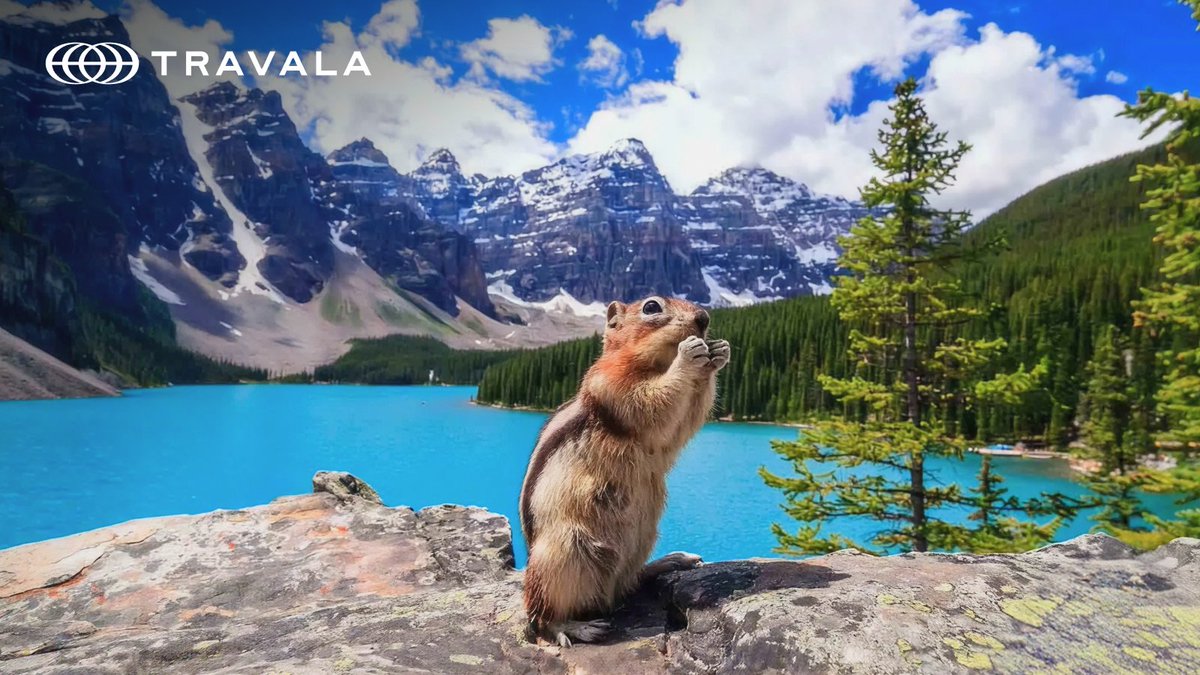 travalacom's tweet photo. Ready to explore the stunning landscapes of Canada? 🇨🇦🍁

Book your whole trip with your favorite crypto! 

From the Rockies to Toronto, start your adventure today! 👉 https://t.co/PwYgxjwc2V https://t.co/p4PZJUT2BN
