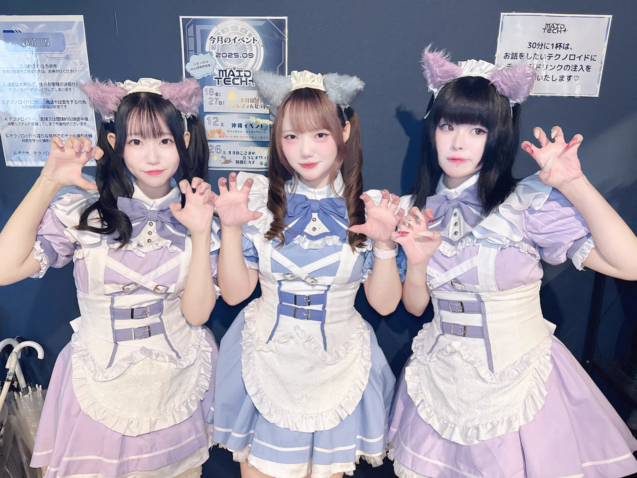 大阪日本橋メイドカフェ🌐MAIDTECH+ on X: 