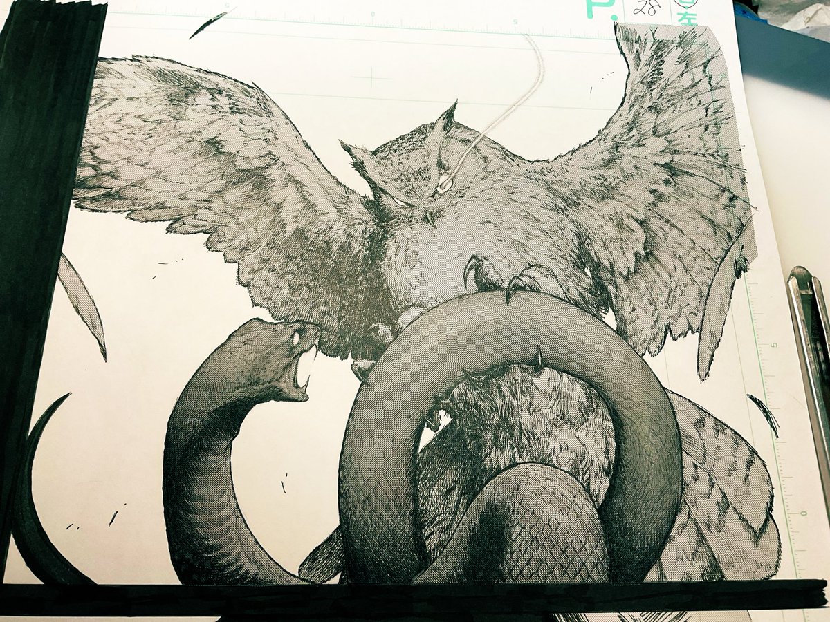 Hotateyuki's tweet photo. Wip🦉💥🐍

#図書館の魔女 https://t.co/L8hDtWHK6t