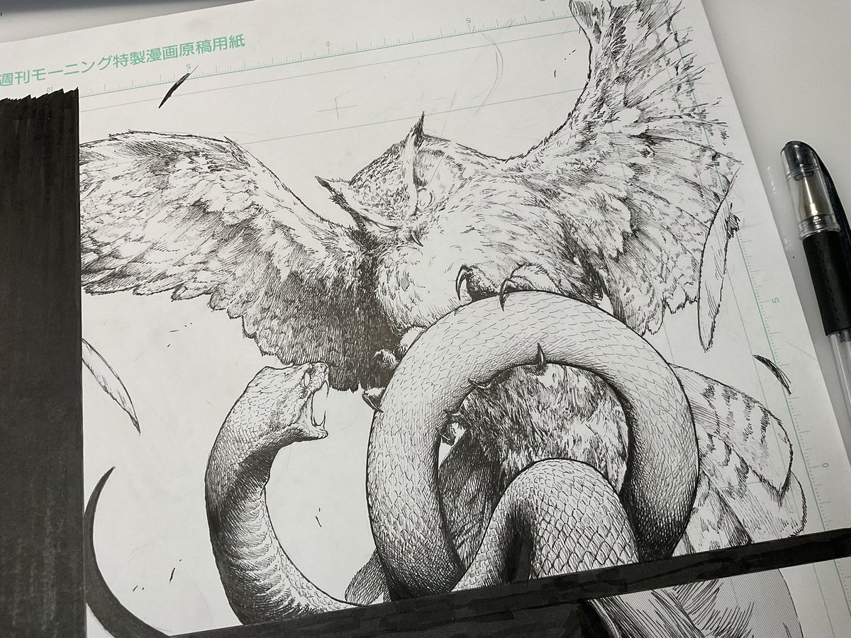 Hotateyuki's tweet photo. Wip🦉💥🐍

#図書館の魔女 https://t.co/L8hDtWHK6t