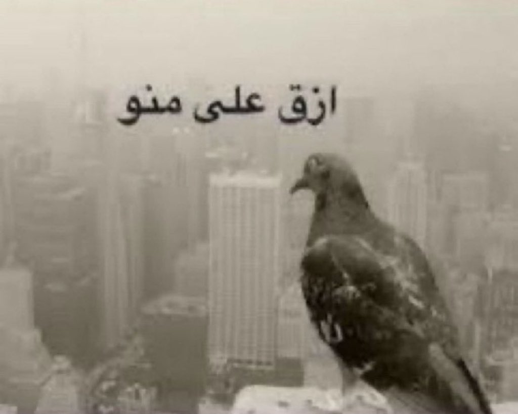 msnrll's tweet photo. الاخلاق اليوم https://t.co/n9ehX7fTRb