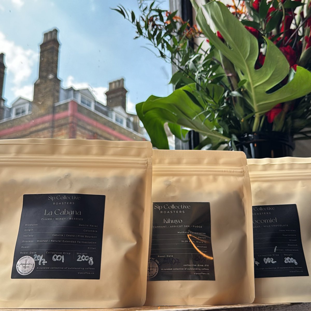 DamonGsell's tweet photo. We’re thrilled to finally stock UK Roasting Champion @sipcollectivecoffeeroasters. We have an exciting range for curious home brewers
La Cabana – experimental single origin 
Kihuyo – classic Kenya 
Xocomiel/Wander – perfect anytime

Drop in to https://t.co/xBjlTUPNbu
