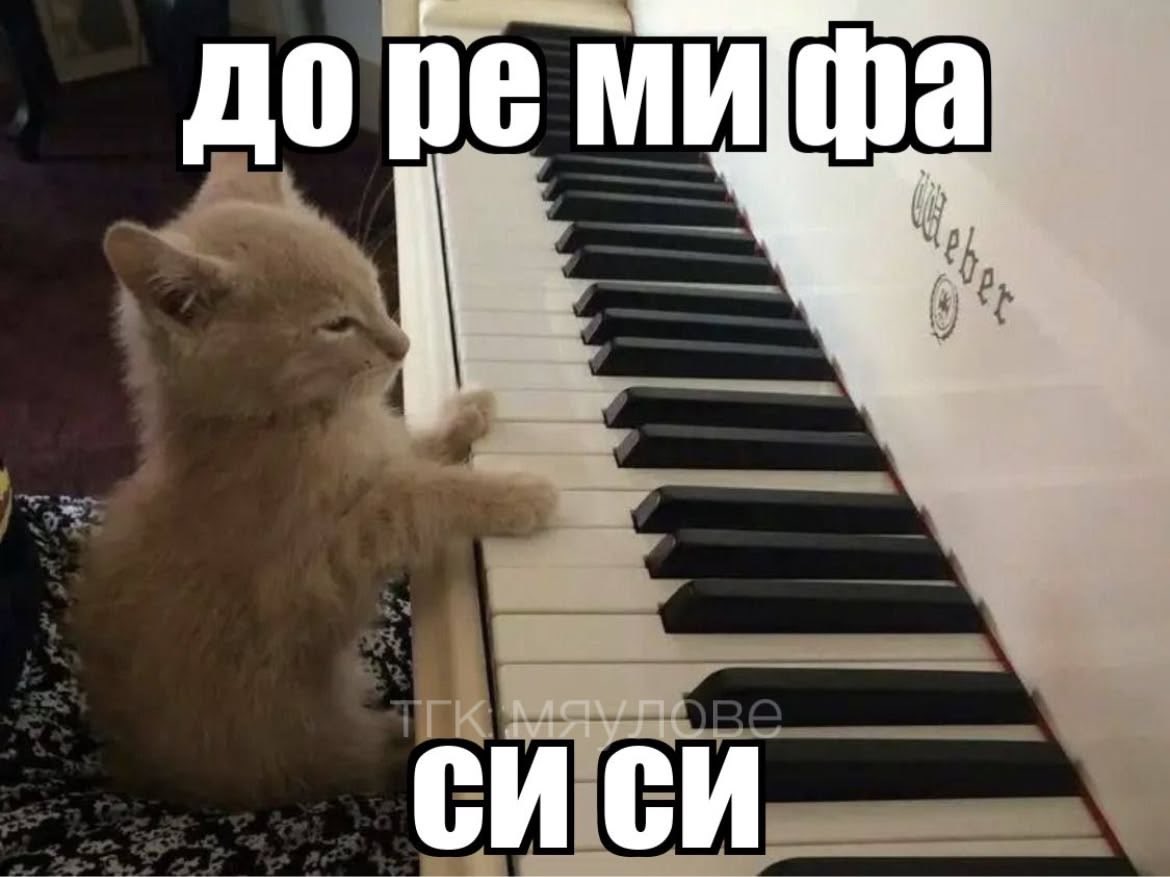 rrqwxs's tweet photo. Как ощущался первый урок по фортепиано: https://t.co/S7bgOnEUVW