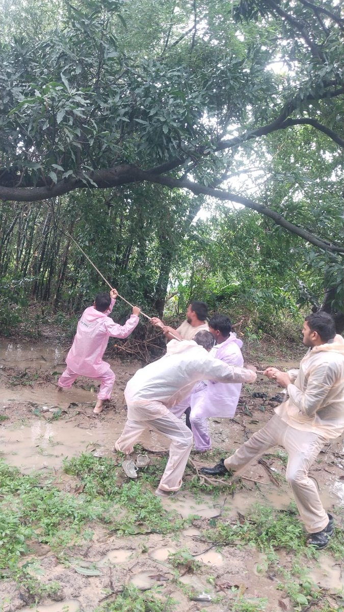 mvvnlAyodhya's tweet photo. विद्युत वितरण खंड रुदौली के उपकेंद्र रुदौली तहसील के अंतर्गत तेज आंधी में क्षतिग्रस्त खंभों व लाइनो पर मेंटेनेंस का कार्य किया जा रहा है।
@aksharmaBharat
@EMofficeUP
@ChiefSecyUP
@UPPCLLKO
@UppclChairman
@MVVNLHQ
@ChiefAyodhya
#shutdown
#breakdown https://t.co/KHPnm6GrjW