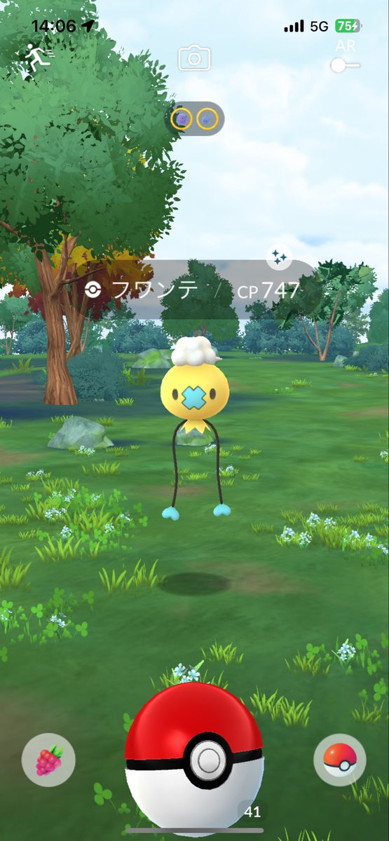poke_rayy's tweet photo. 今日だけで色違い5匹も捕まえた…！
黄色い子が多くてかわいい…🌙🍋⭐️ https://t.co/5pVUN7kqD9